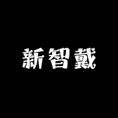 新智戴数码