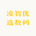 凌智优选数码