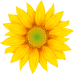 葵花个护馆