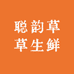 聪韵草草生鲜