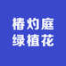 椿灼庭绿植花卉