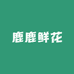 鹿鹿鲜花