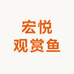 宏悦观赏鱼