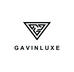 GAVINLUXE企业店