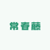 常春藤仿真绿植