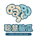 聪慧脑瓜官方旗舰店