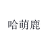 哈萌鹿川顺童装专卖店