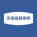 宗源盆栽果树