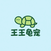 王王龟宠