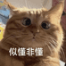 荆东包包小铺