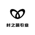 村之蔬农业