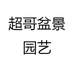 超哥盆景园艺