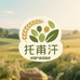 温宿托甫汗农副产品优选店