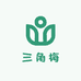 万顺三角梅盆景精选