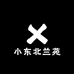 小薇精品君子兰