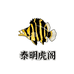 泰明虎阁