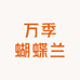 万季蝴蝶兰