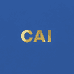 CCA11
