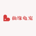 仙缘龟宠