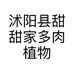 沭阳县甜甜家多肉植物店的小店