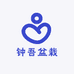 钟吾盆栽
