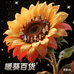 暖葵百货好物甄选阁