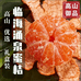 高山坡涌泉蜜桔