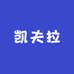 凯夫拉手机壳说