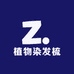 植物染发梳