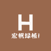 宏帆绿植i