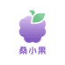 桑小果企业店