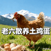 老六散养土鸡蛋