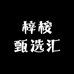 梓桉甄选汇