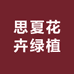 思夏花卉绿植