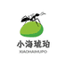 小海琥珀缅甸虫珀