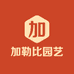 加勒比园艺个体店