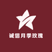 诚信月季玫瑰