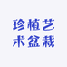 珍植艺术盆栽