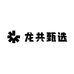 龙共甄选