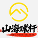 山海金属台球杆
