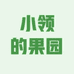 小领三农严选