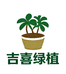 吉喜绿植