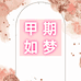 甲期如梦