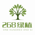 268花卉