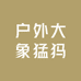 广东户外鞋批