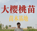 山农乐光达果树苗木专卖店