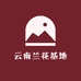 云南兰花基地