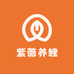 紫薇养鲤