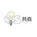 共森LED光源灯泡厂家