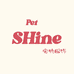 shine宠物服饰